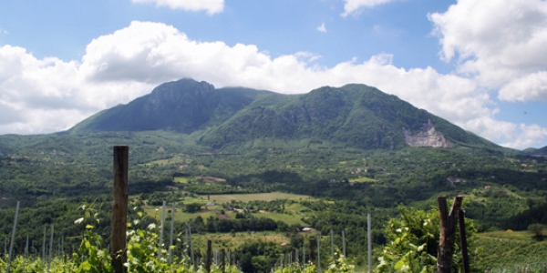 Taurasi dyrkes i Irpinia i Avellino-provinsen, Campania