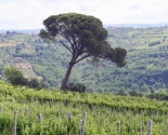 Marker i Irpinia i Avellino-provinsen, Campania