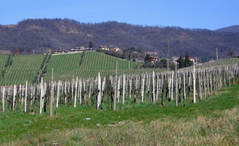 Sommer i Scanzorosciate, Lombardia