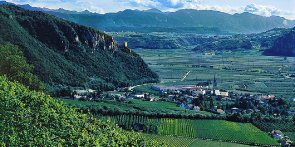 Alto Adige, Terlano DOC