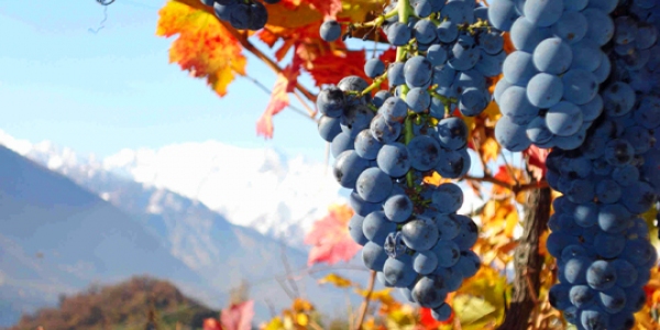 Høsten nærmer sig i Valle d'Aosta
