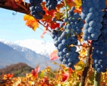 Høsten nærmer sig i Valle d'Aosta