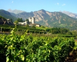 Valle d'Aosta har adskillige borge omkring vinmarkerne