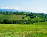 Vinmarker med alperne som kulisse, Veneto